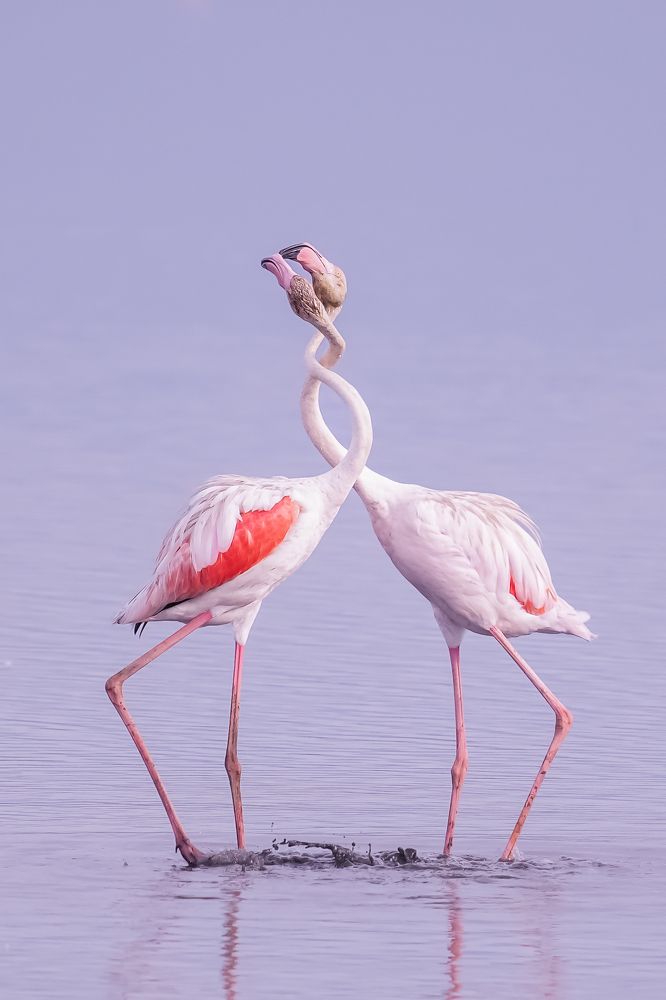 Фотография автора Jian Ma