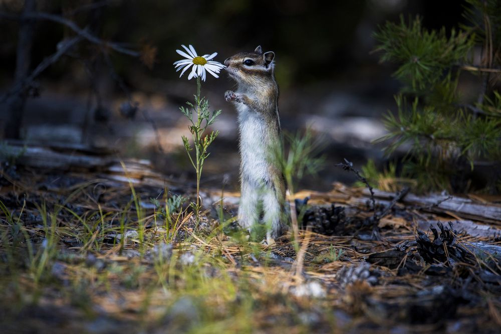 Прощание с летом