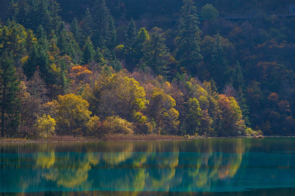 Фотография автора Jian Ma