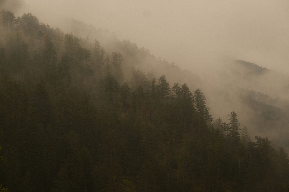 Photograph by Roman Vislobokov