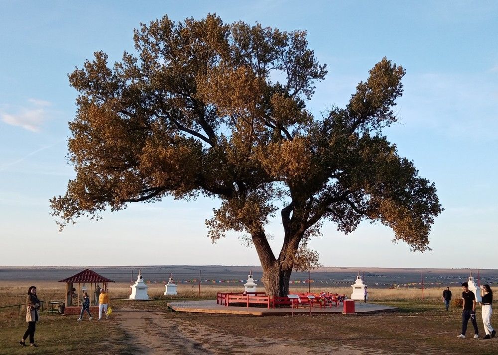 Photograph by Виктор Захаров