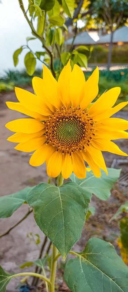 Photograph by Mauricio Santiago Boulogne