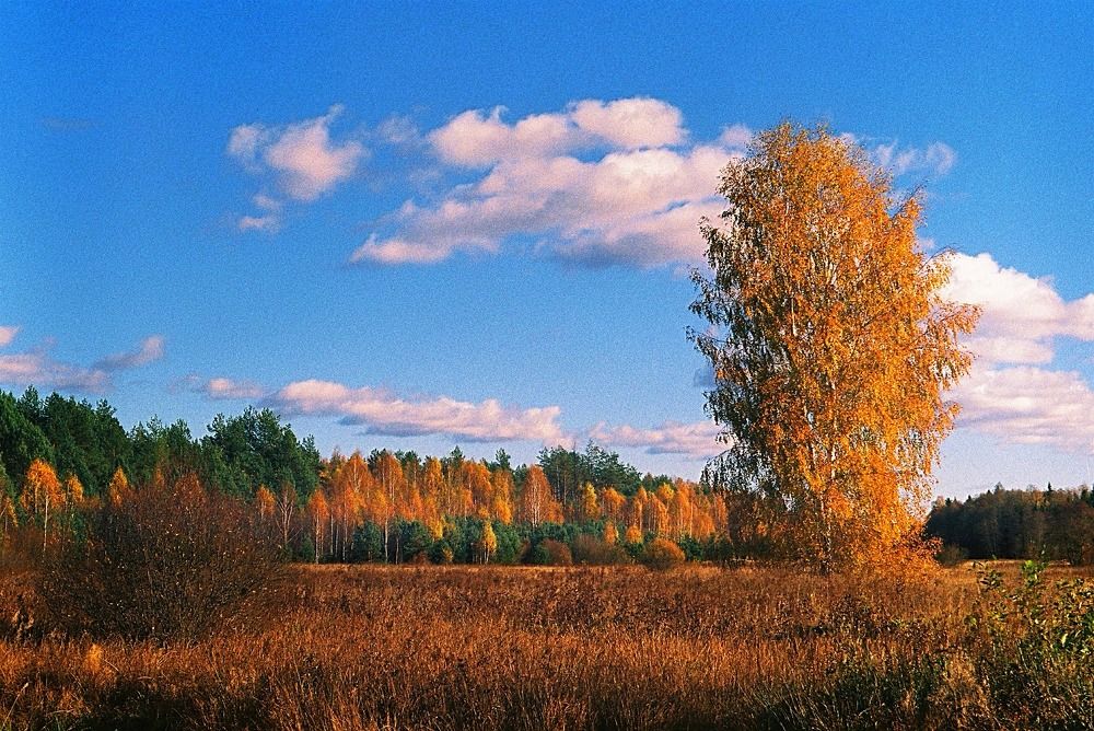 Photograph by Москалев Андрей