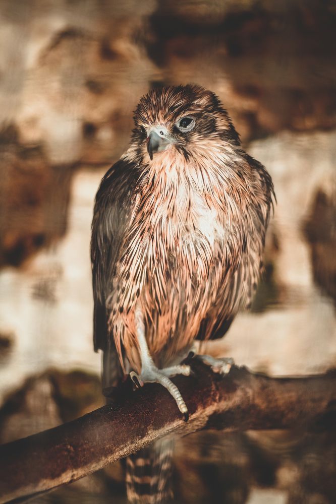 Photograph by moussaab