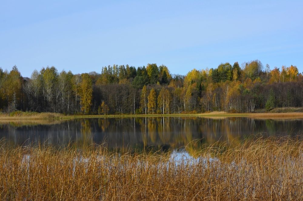 Photograph by Галина Катанова