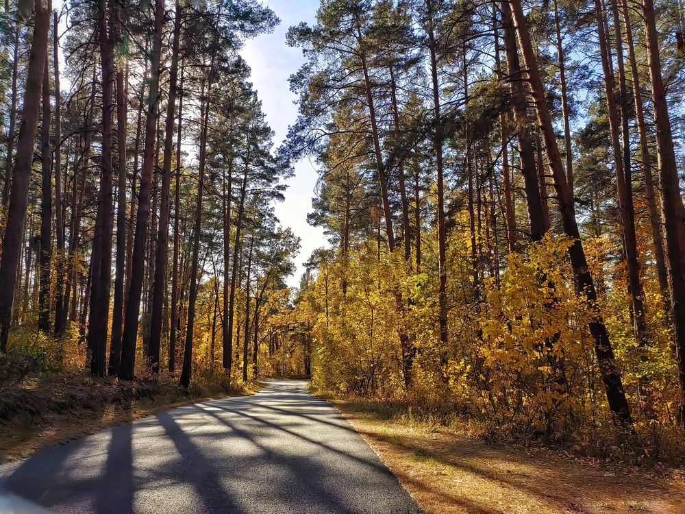 Photograph by Юлия Поликарпова