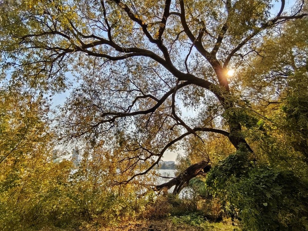 Photograph by Юлия Поликарпова