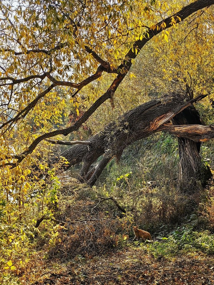 Photograph by Юлия Поликарпова