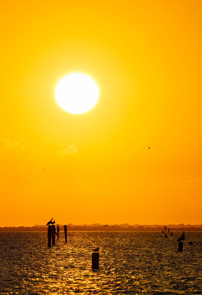 Photograph by Анатолий Костерев