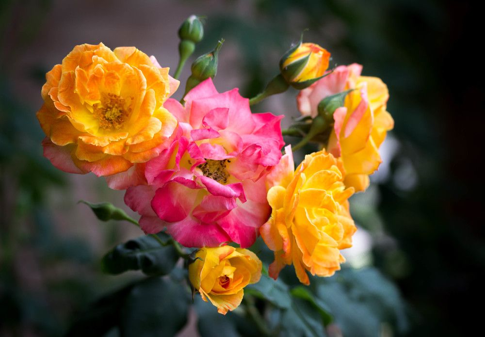 Photograph by Анатолий Костерев