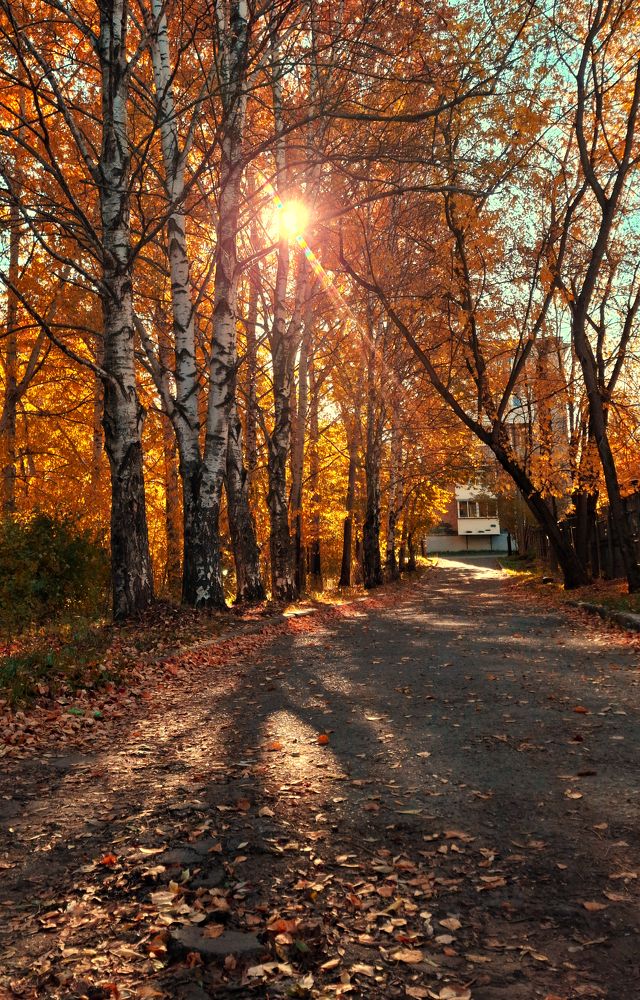 Photograph by Любовь Бусова