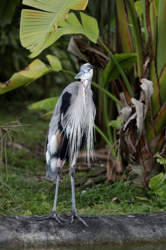 Фотография автора Tetiana Anpilova