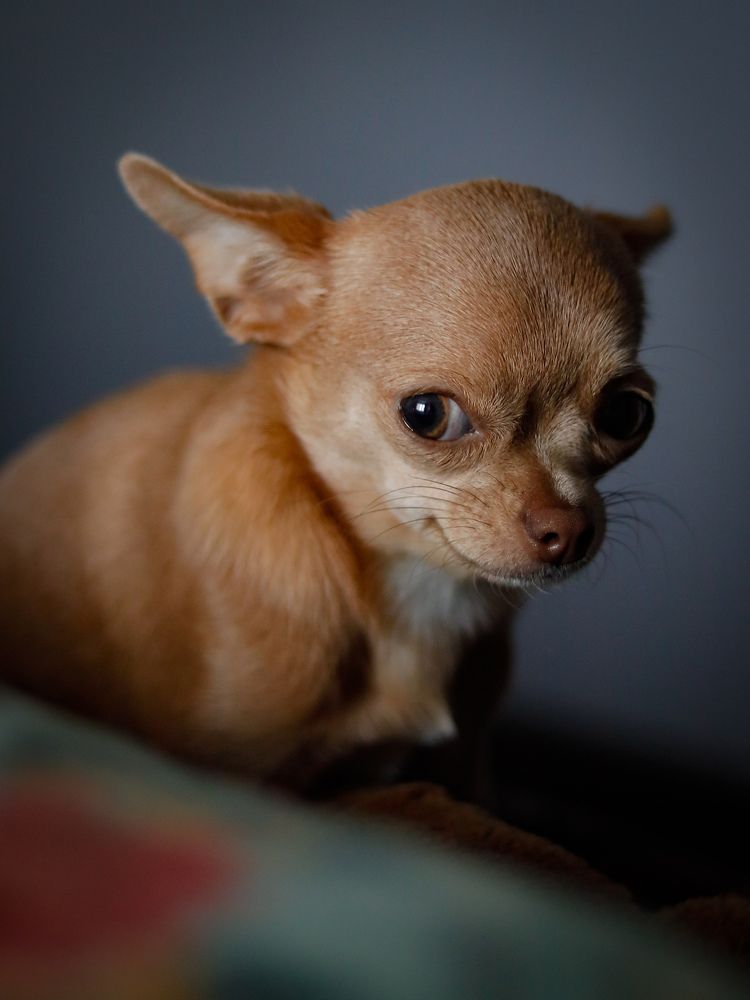 Photograph by Екатерина Слепнева