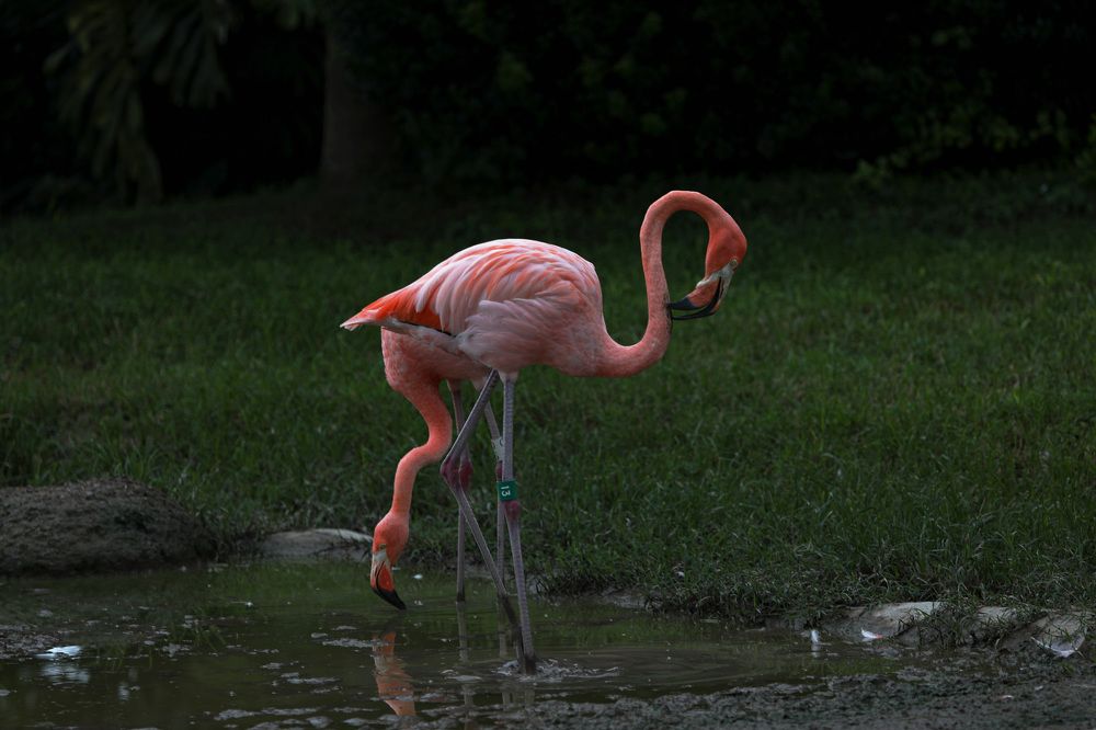 Фотография автора Tetiana Anpilova