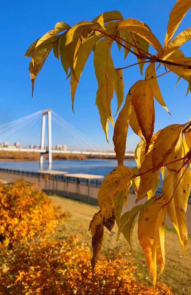 Фотография автора Светлана Гончарова