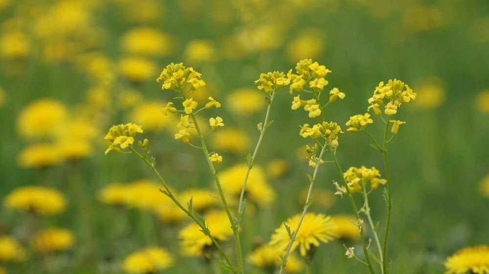 Photograph by Михаил Трусов