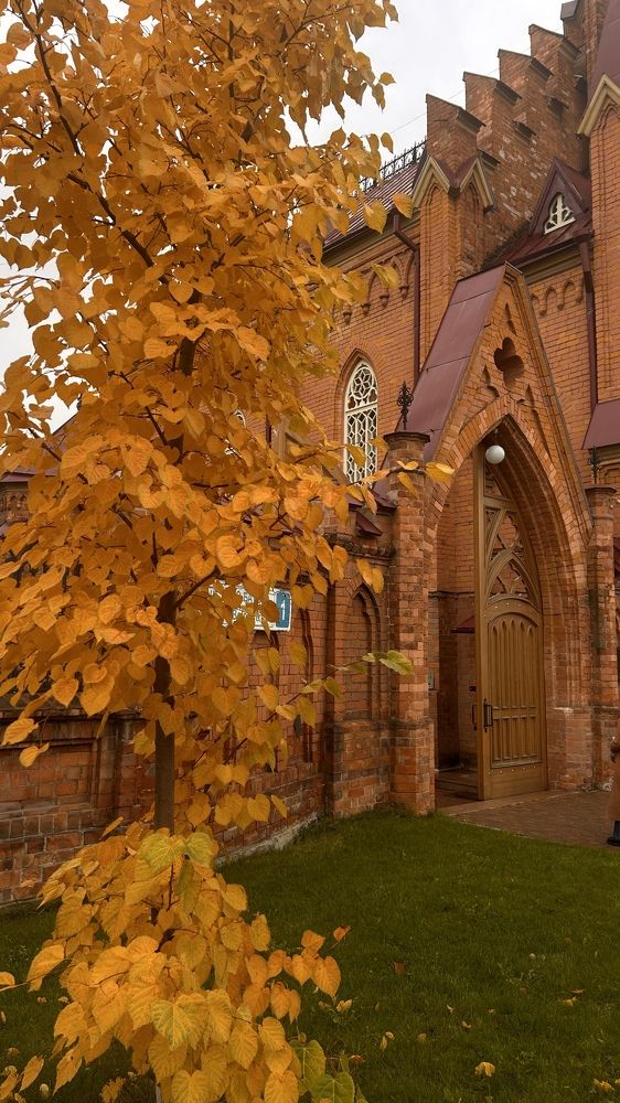 Photograph by Екатерина