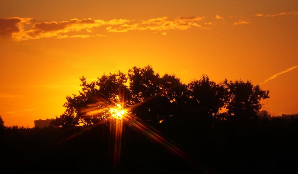 Photograph by Михаил Трусов