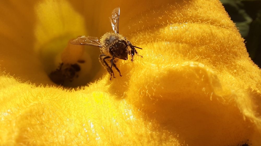 Photograph by Михаил Трусов