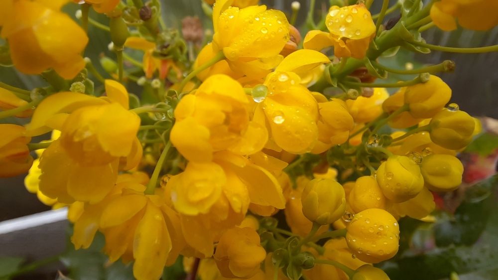 Photograph by Михаил Трусов