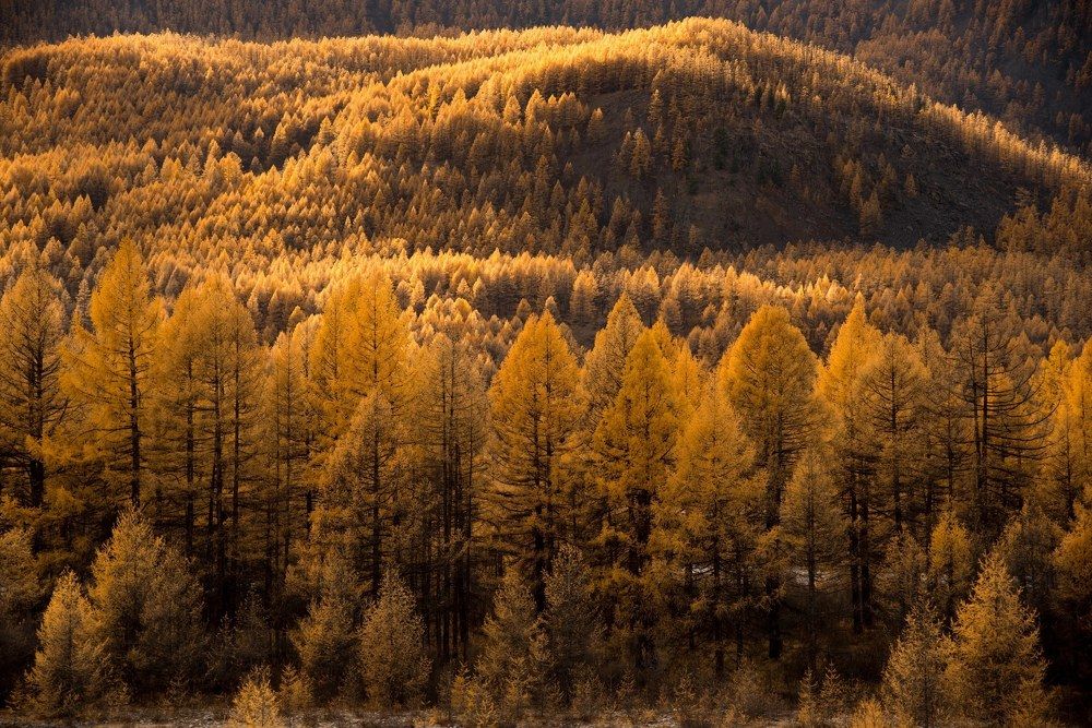 Photograph by Марина Корреа Ластра