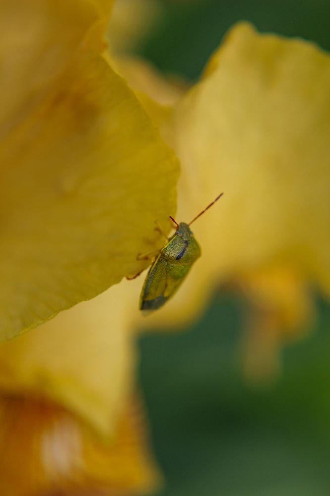 Photograph by Ирина Дмитриенко