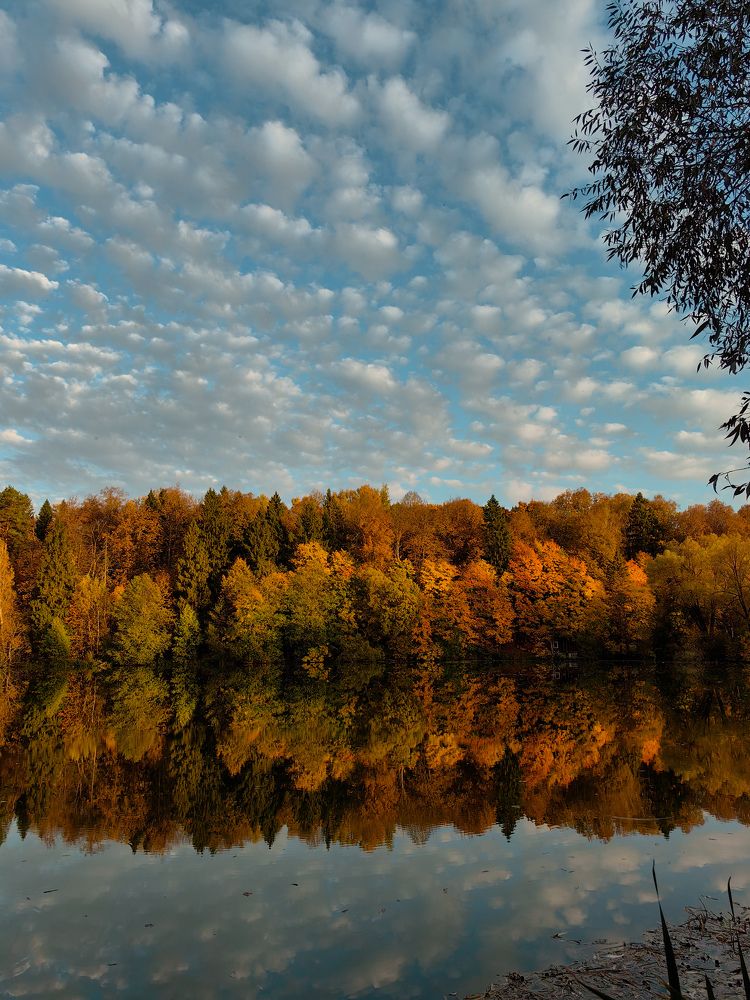 Photograph by Ольга Карева