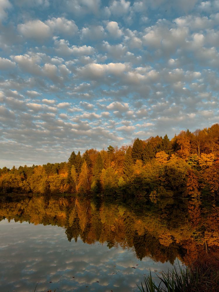 Photograph by Ольга Карева