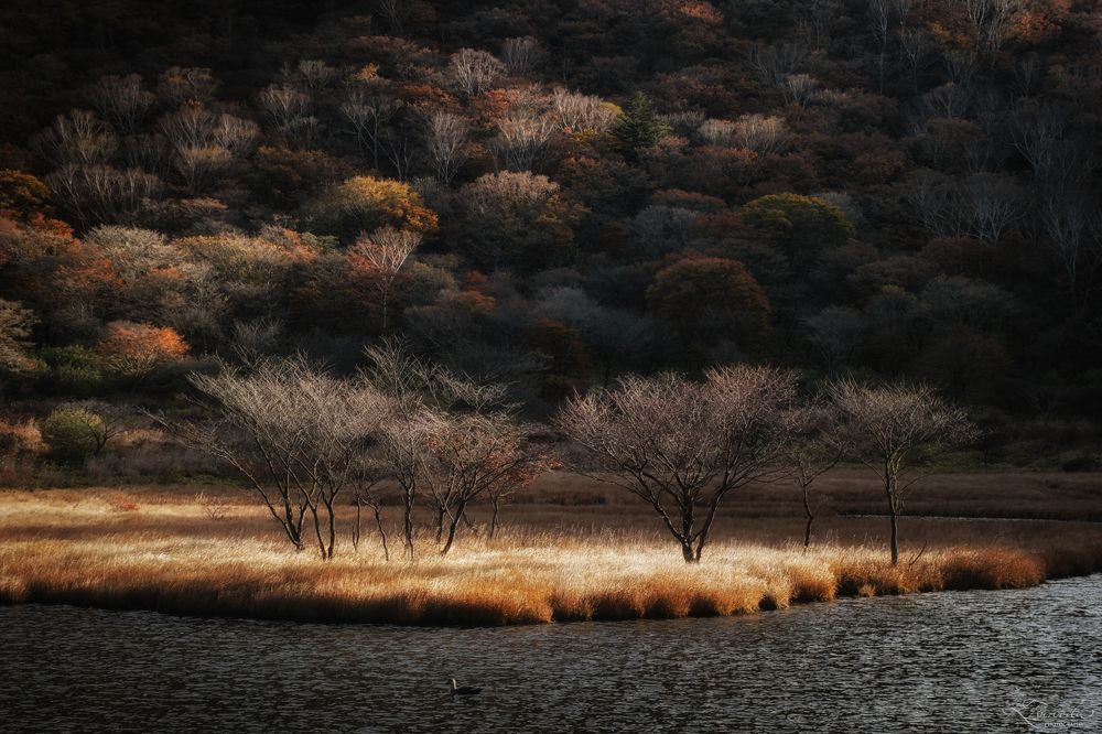 Photograph by Tsunoda