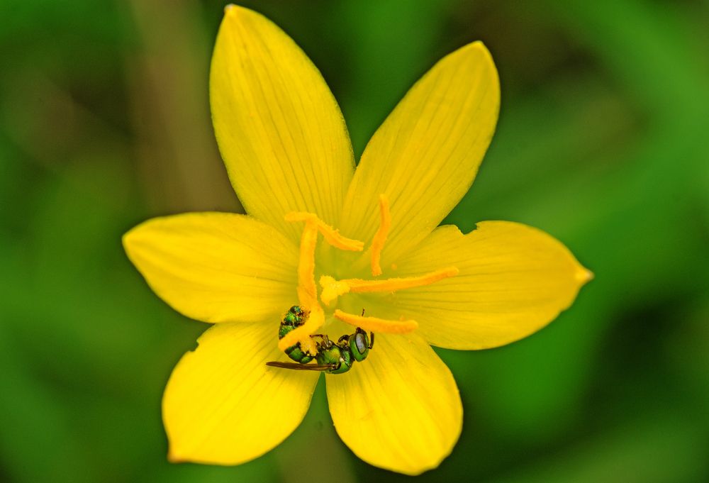 Photograph by CHINMOY BISWAS