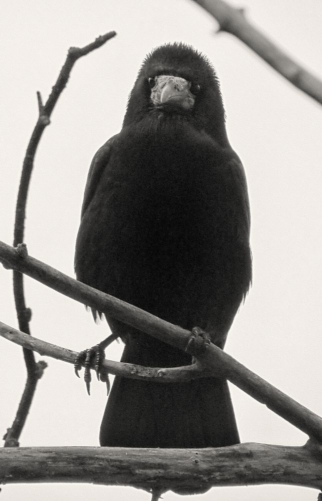 Photograph by Савоцкий Роман