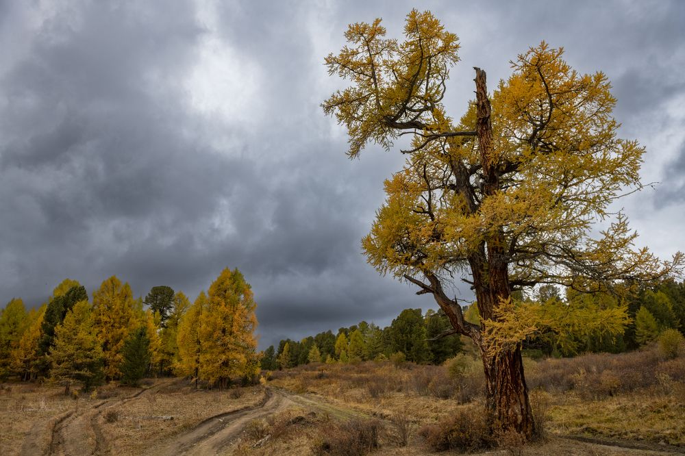 Photograph by Сергей Шерстнев