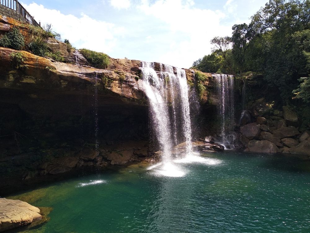 Photo #11113416