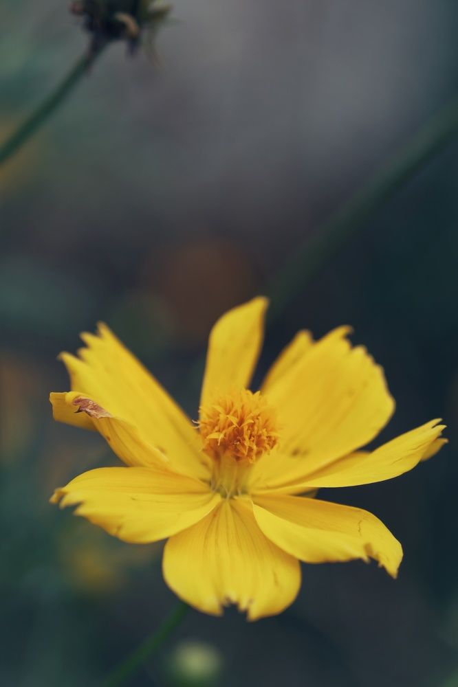 Photograph by Meilany Wijaya