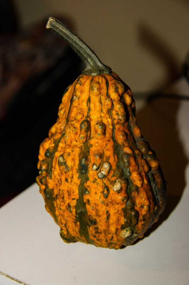 Photograph by Igors Rostikovs