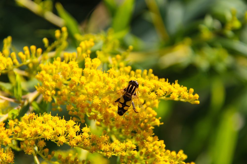 Photograph by Igors Rostikovs