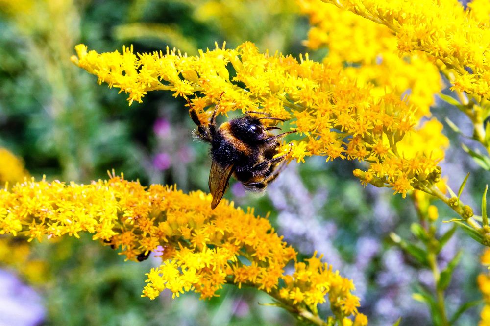 Photograph by Igors Rostikovs