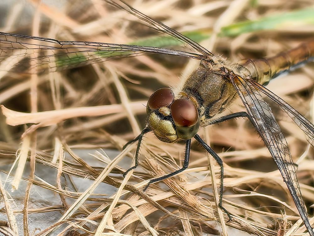 Photograph by Сергей Игнатьев