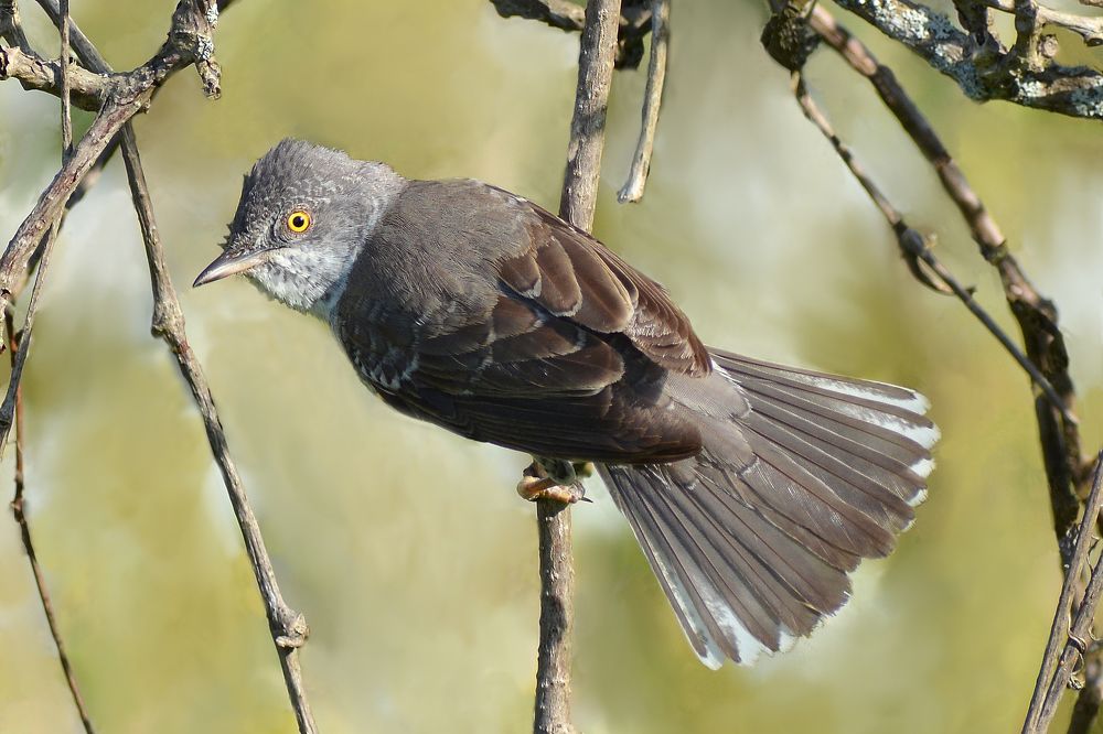 Photograph by Владислав Иопек