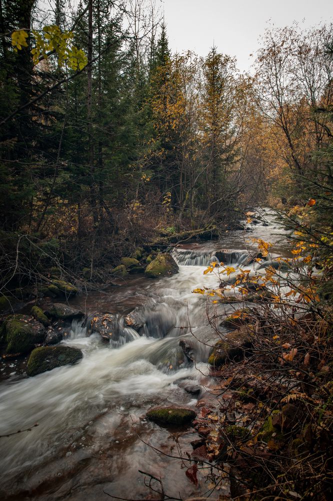 Фотография автора Сергей Третьяков