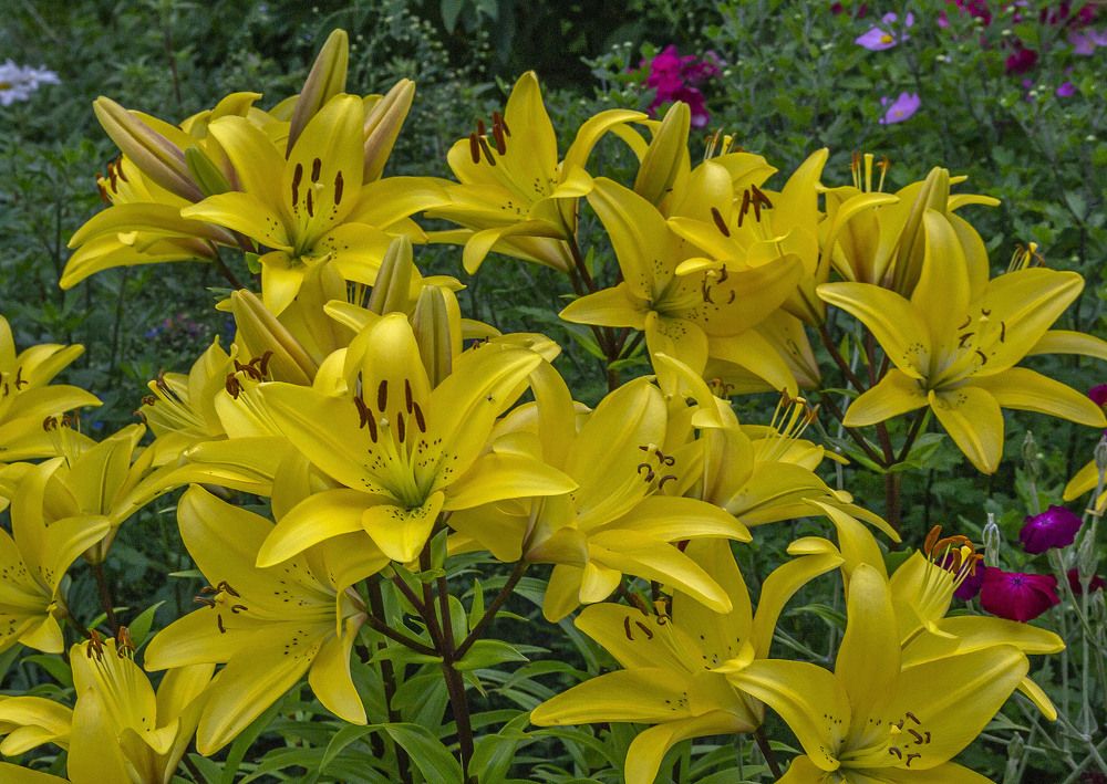 Photograph by Цветков Сергей