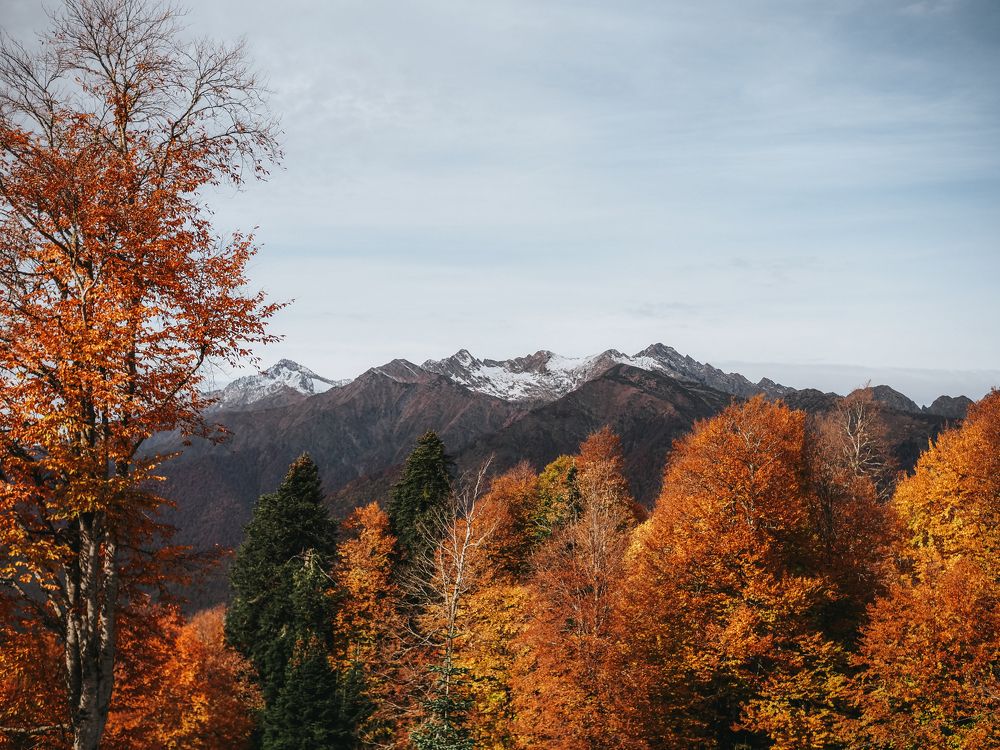 Photograph by Екатерина Ромадановская