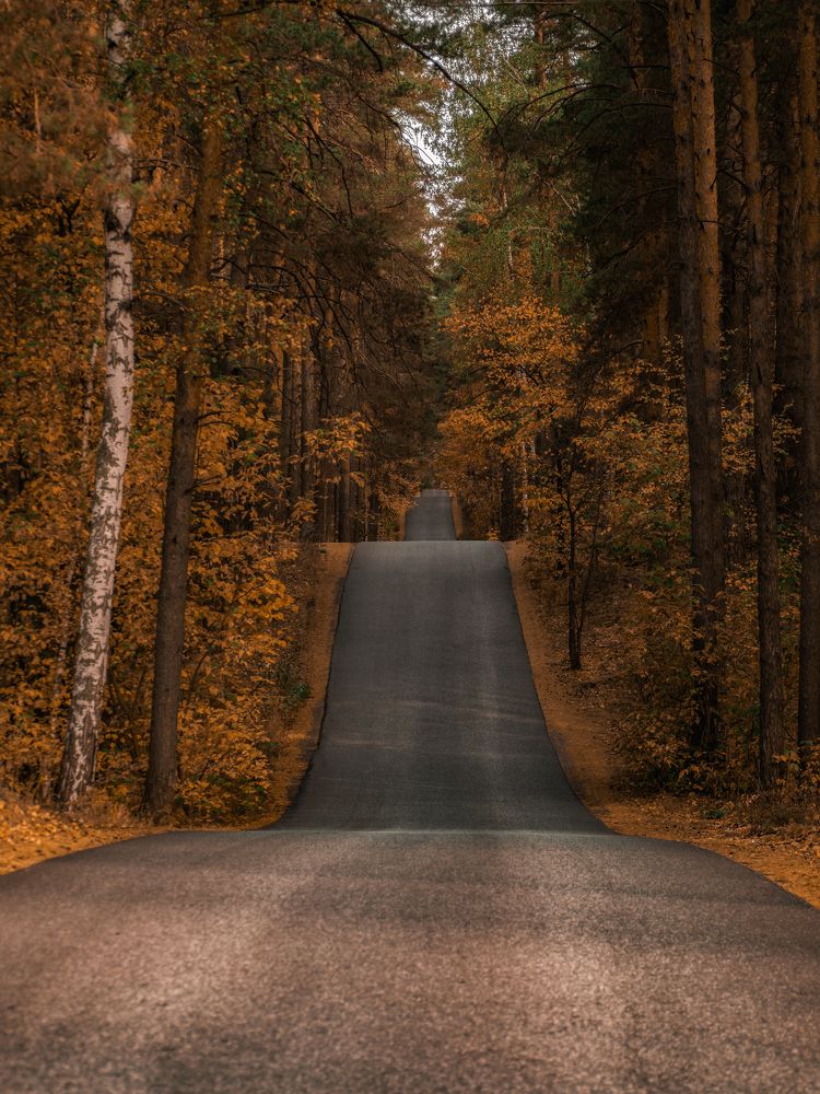 Photograph by Екатерина Ромадановская