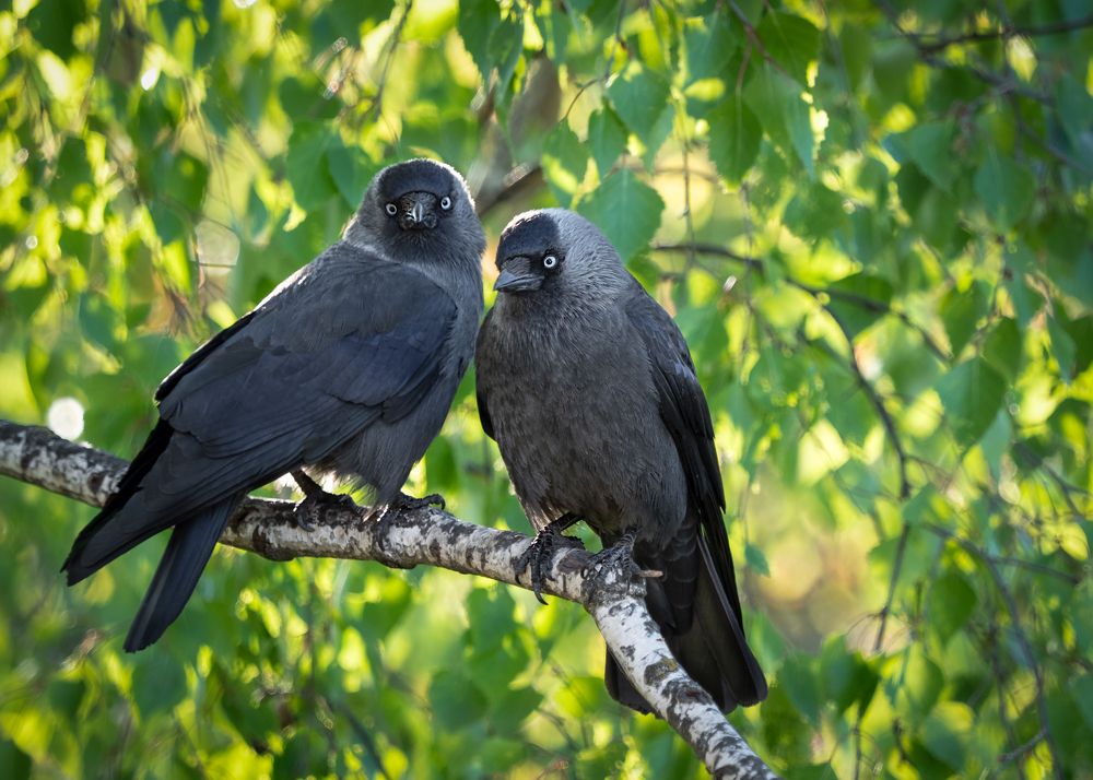 Photograph by Андрей Стрельников