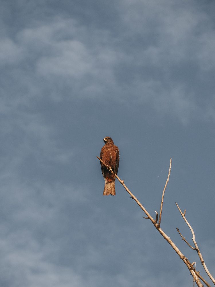 Photograph by Екатерина Ромадановская