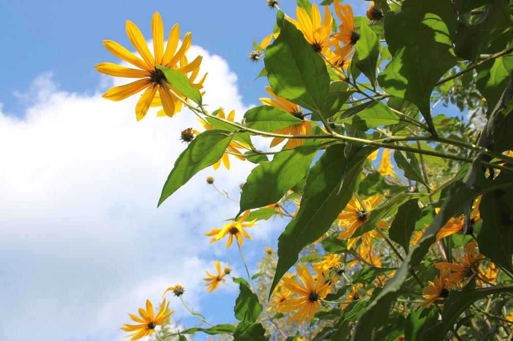 Photograph by Olga Bagaeva