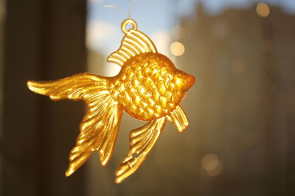 Photograph by Olga Bagaeva