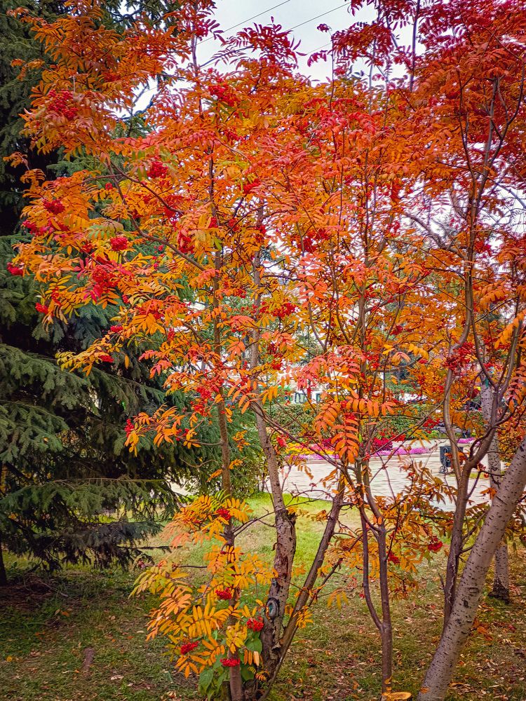 Photograph by Владимир Сушкин