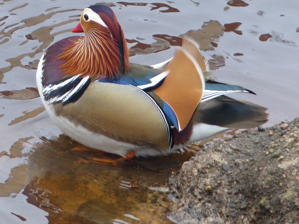 Photograph by Георгий Салюков