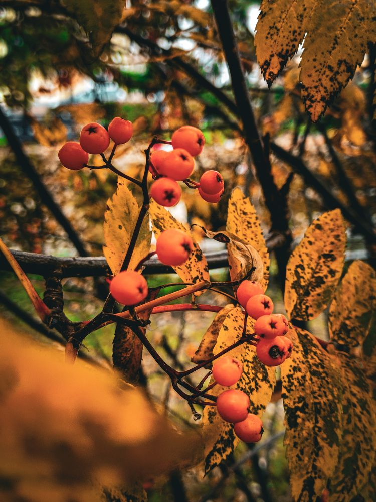Photograph by Владимир Сушкин